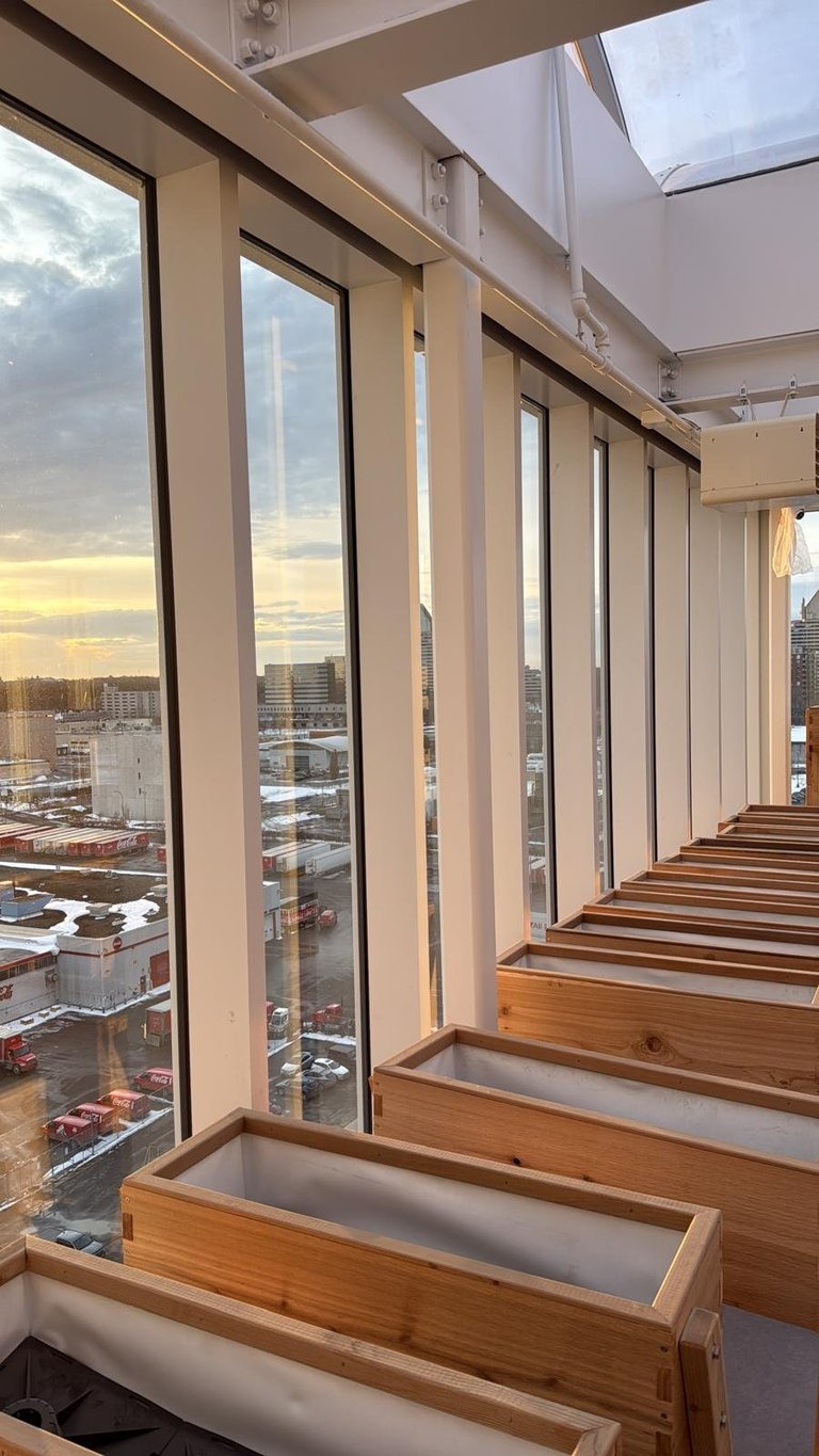 Modern high-rise balcony with floor-to-ceiling windows, wooden planters, and sunset cityscape view